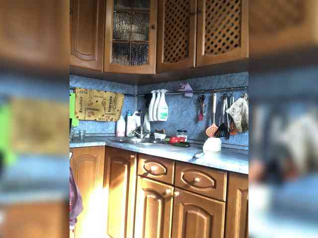 totodasha
