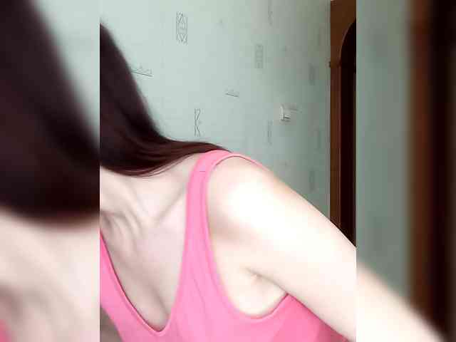 totodasha totodasha