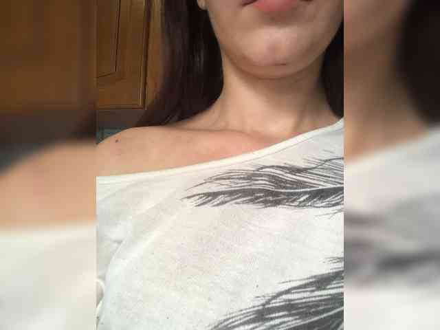 totodasha totodasha