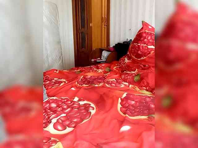 totodasha