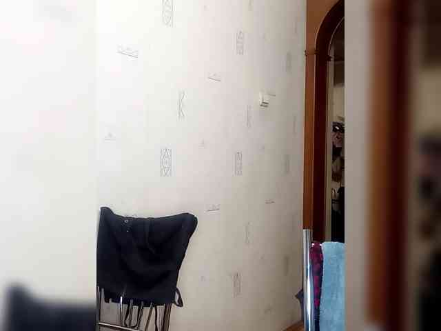 totodasha