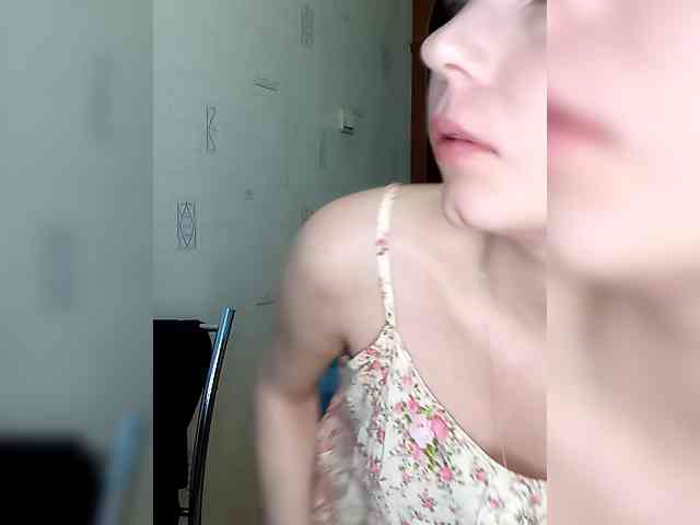 totodasha