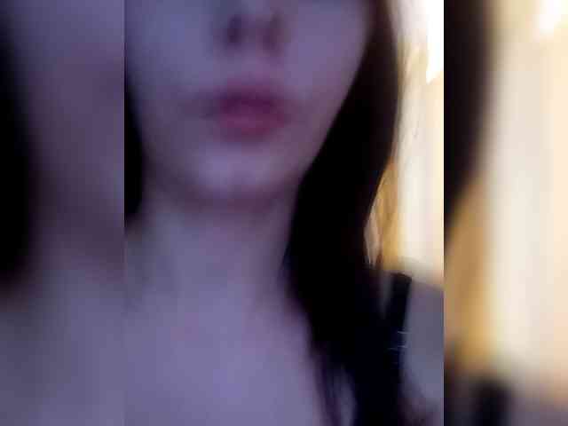 totodasha