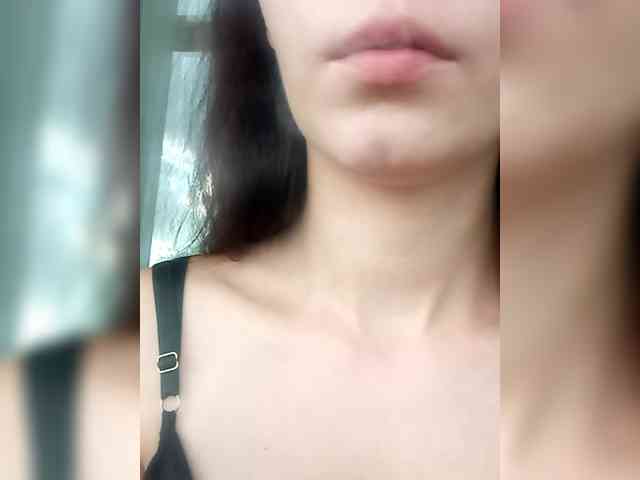 totodasha