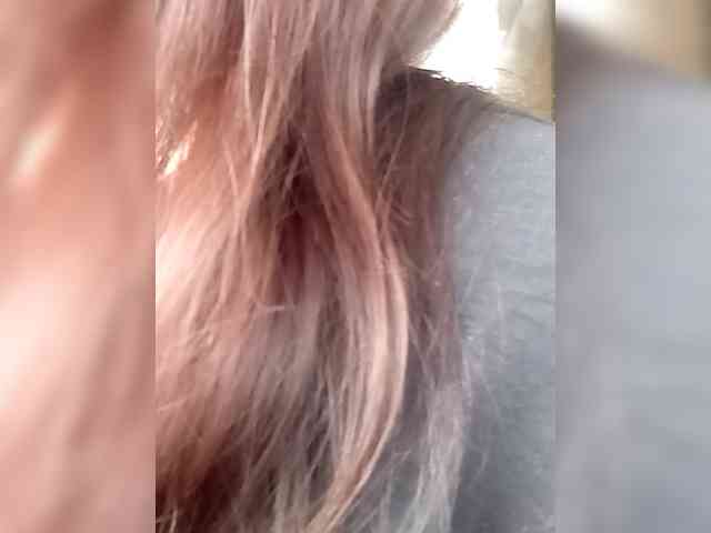 totodasha totodasha