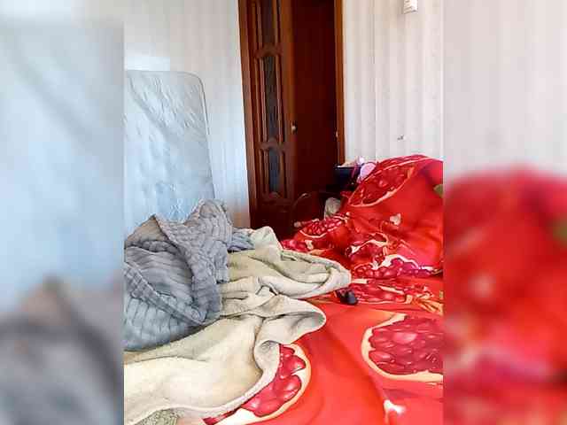 totodasha