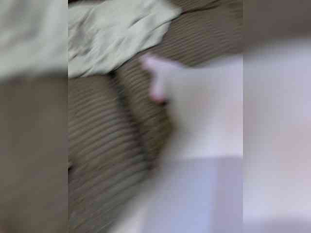 x_xxx webcam