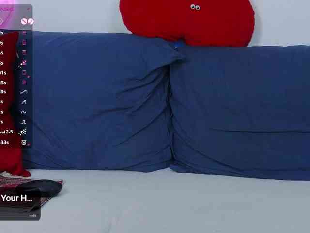 -Lorik- webcam