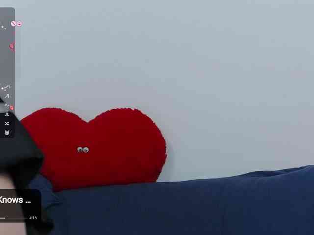 -Lorik- webcam