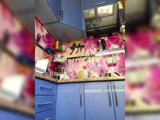 MS-86 webcam