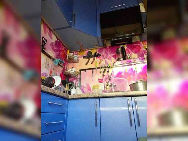 MS-86 webcam
