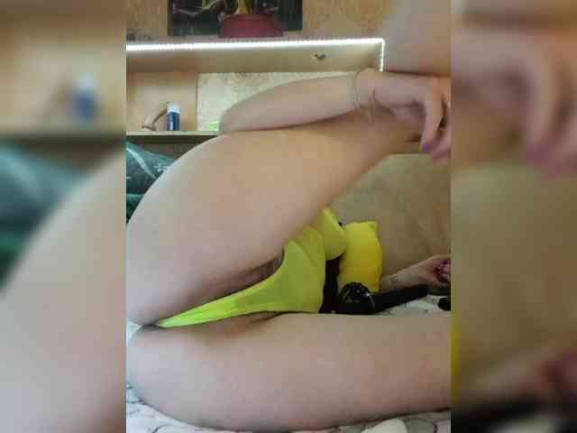 MS-86 webcam