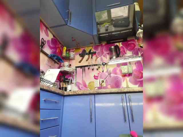MS-86 webcam