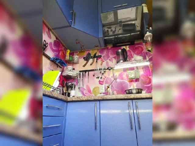 MS-86 webcam