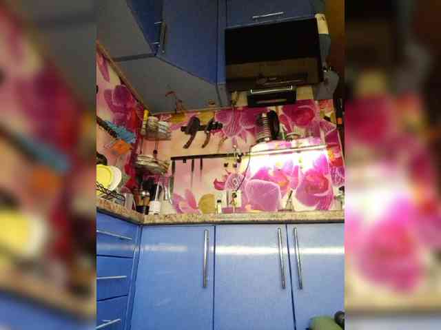 MS-86 webcam