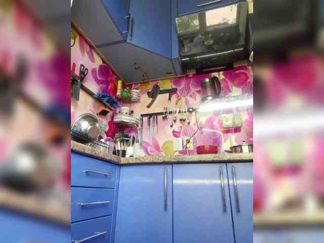 MS-86 webcam