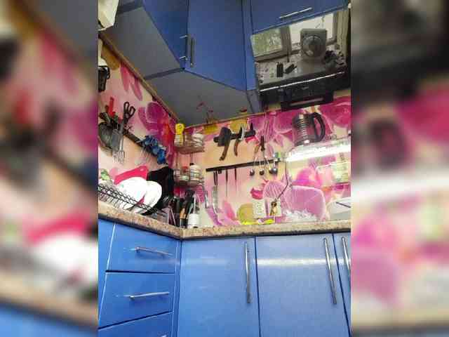MS-86 webcam