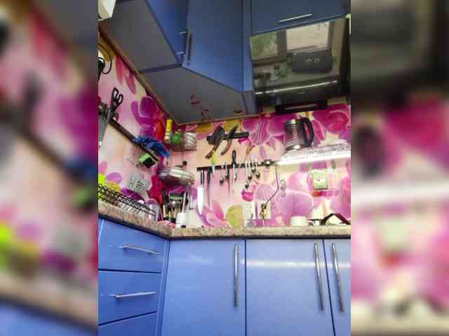 MS-86 webcam