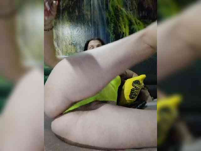 MS-86 webcam