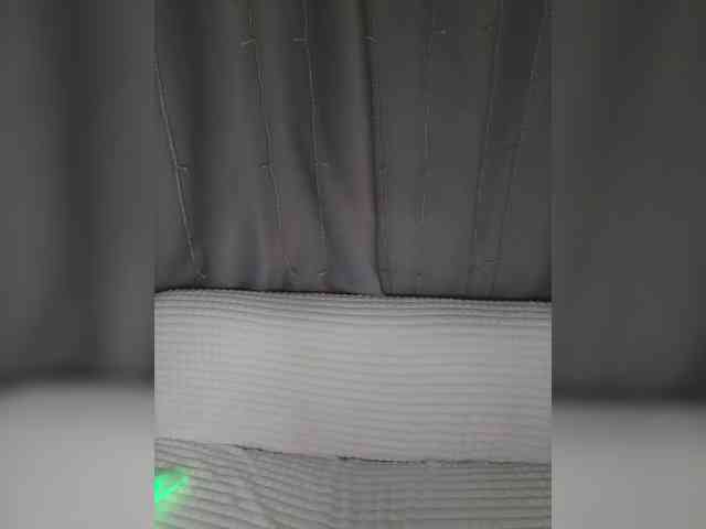 _Kisskiss_ webcam