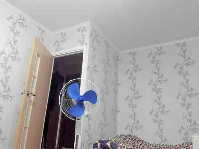 Dzhey_Kvin