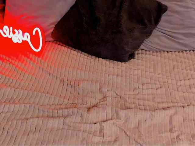 LillianShineX webcam