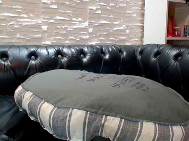 creampienacia's live room