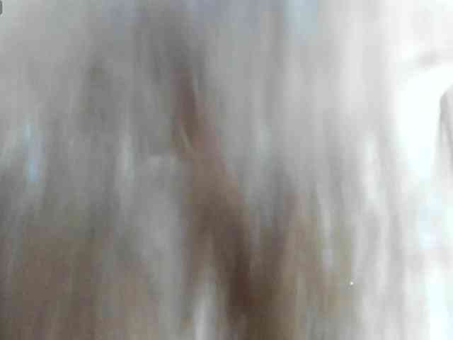 firstmaja webcam
