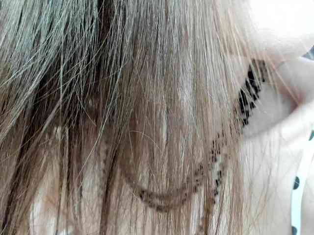 firstmaja
