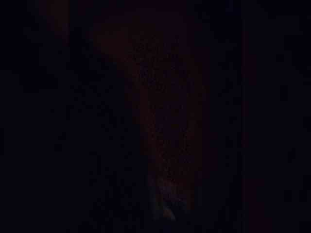 TenderBerry webcam