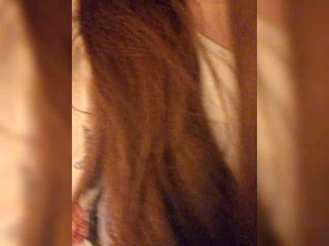 TenderBerry webcam