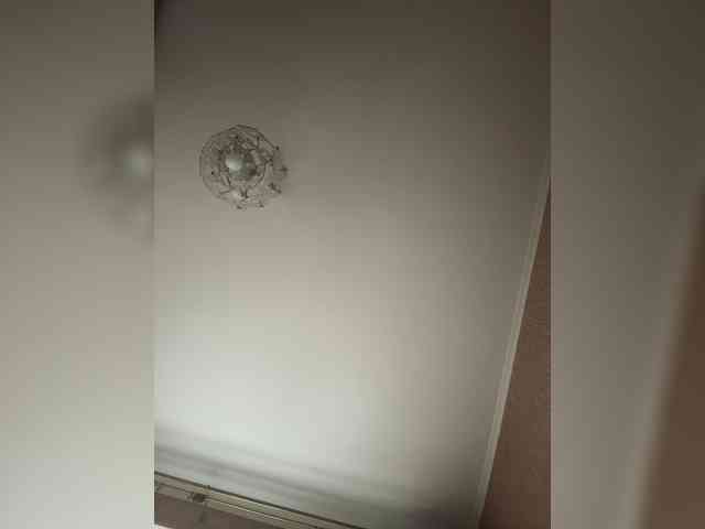Annushka_ webcam