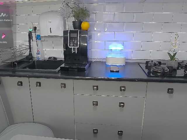 EllaSwan live cam preview