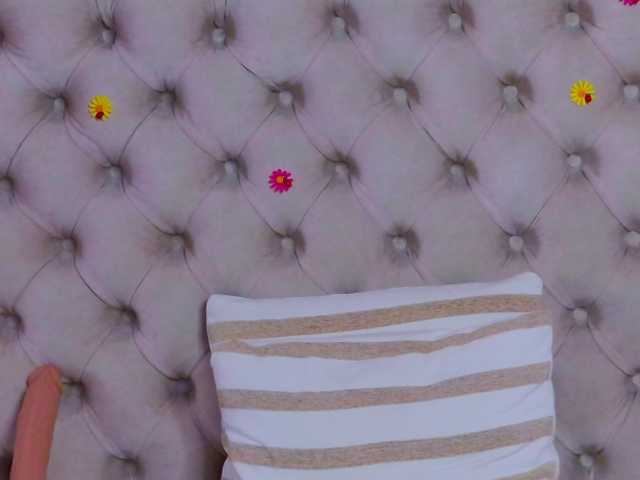 TastyShow live cam preview