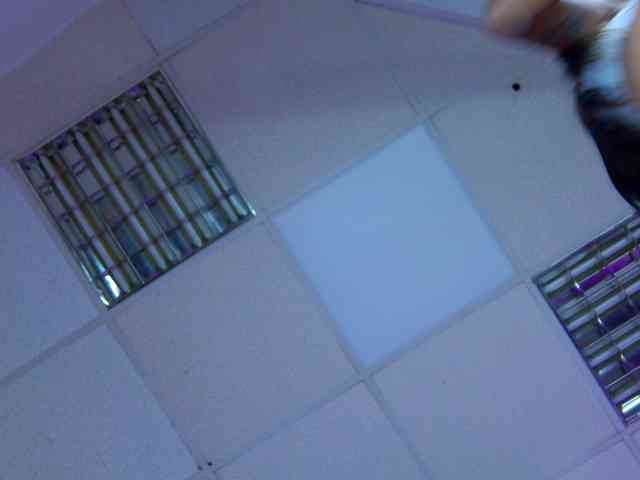 TastyShow webcam