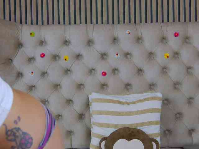 TastyShow webcam