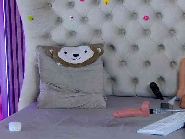 TastyShow webcam