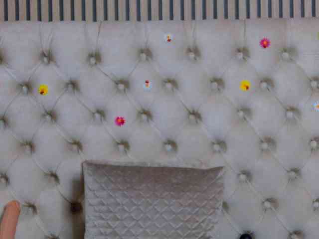 TastyShow webcam