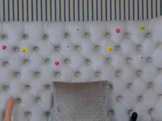 TastyShow webcam