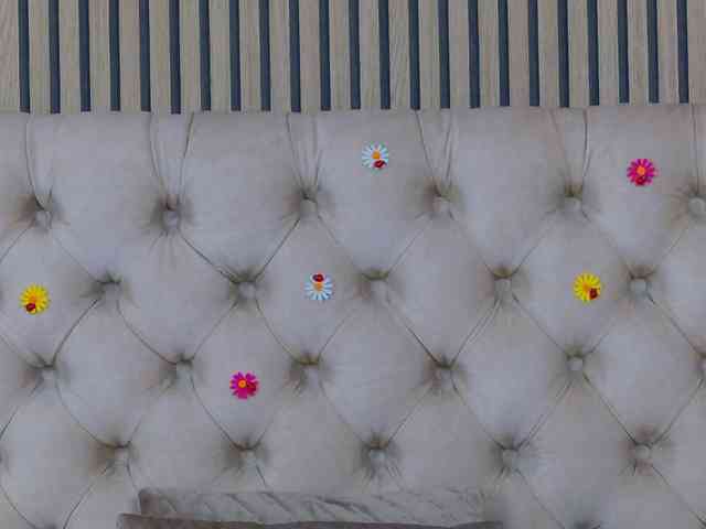 TastyShow webcam