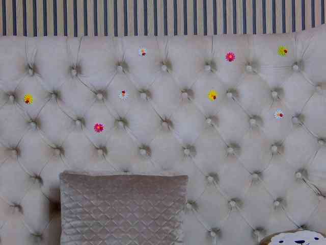 TastyShow webcam