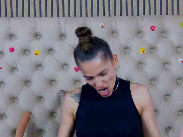 TastyShow webcam