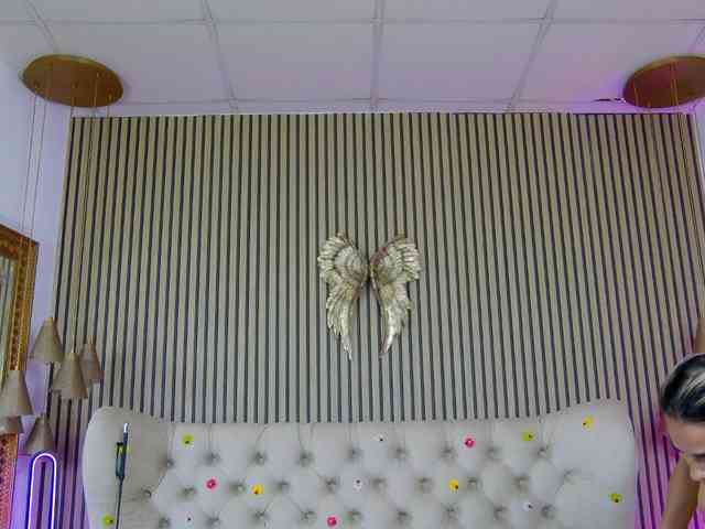 TastyShow webcam