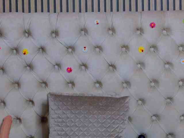 TastyShow webcam