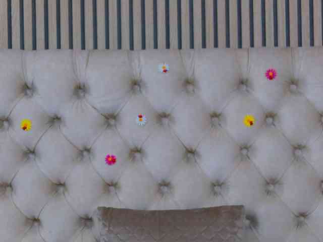 TastyShow webcam