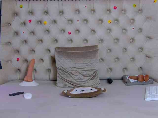 TastyShow webcam