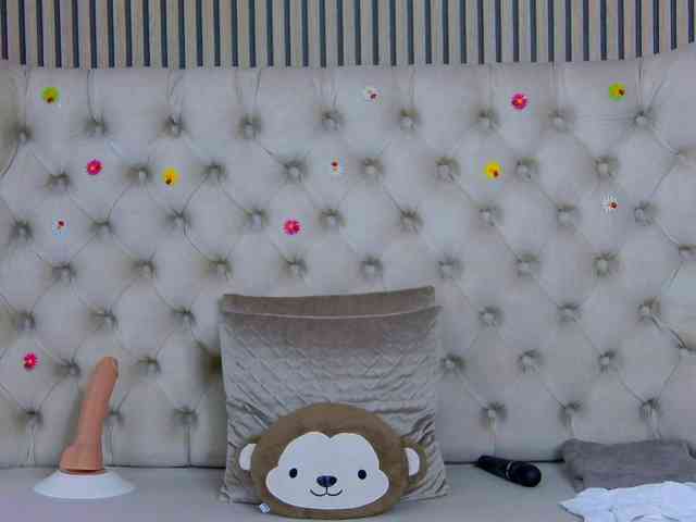 TastyShow webcam