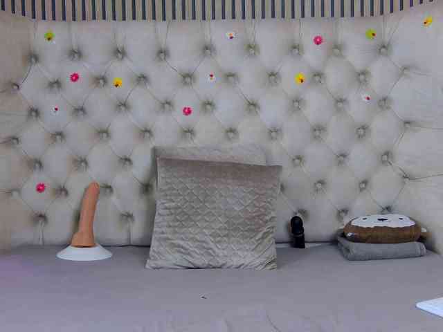 TastyShow webcam