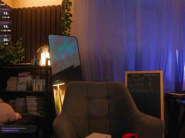 arimass webcam