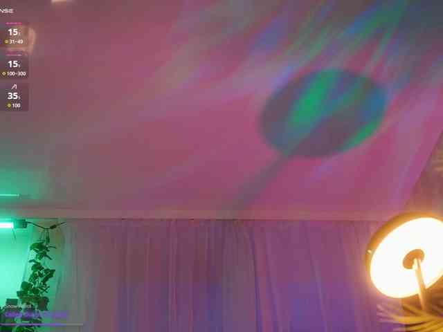 arimass webcam